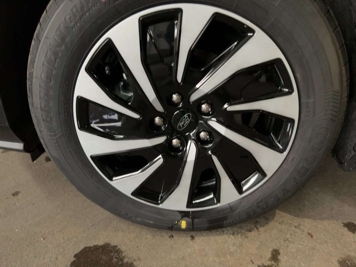 Fahrzeugbild eines Ford Focus