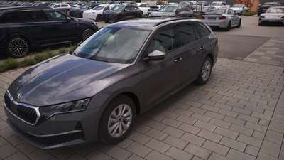 Bild Skoda Octavia