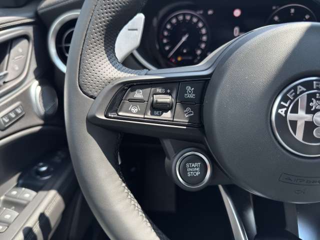 Fahrzeugbild eines Alfa Romeo Stelvio