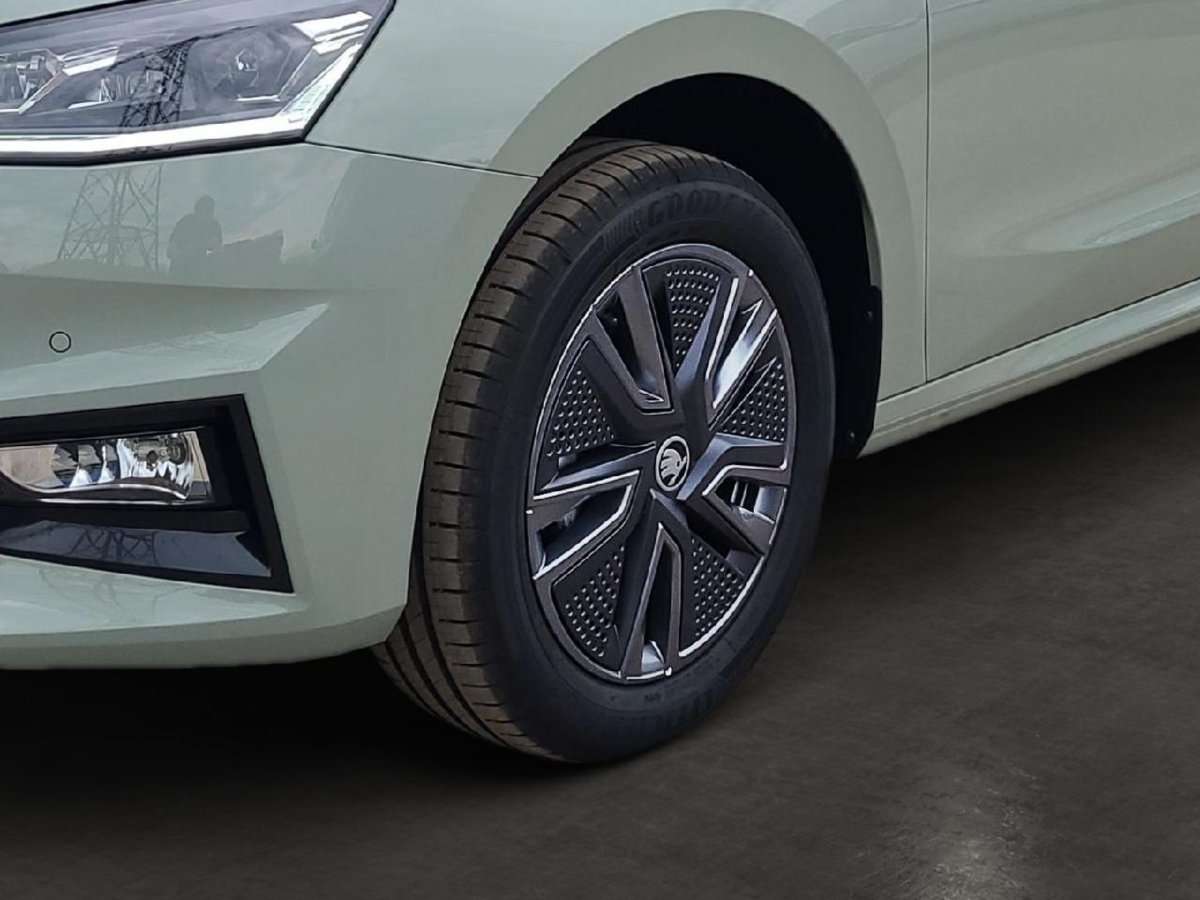 Fahrzeugbild eines Skoda Fabia