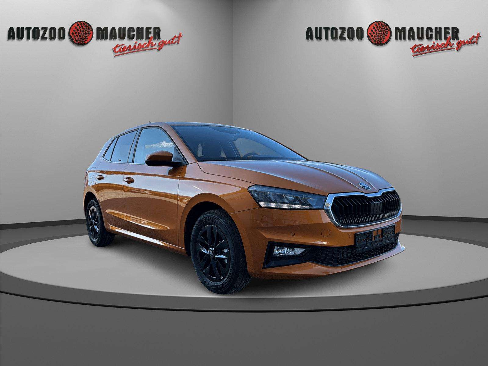 Fahrzeugbild eines Skoda Fabia