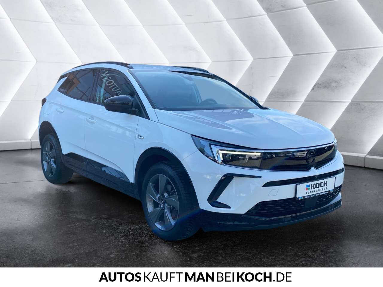 Fahrzeugbild eines Opel Grandland X