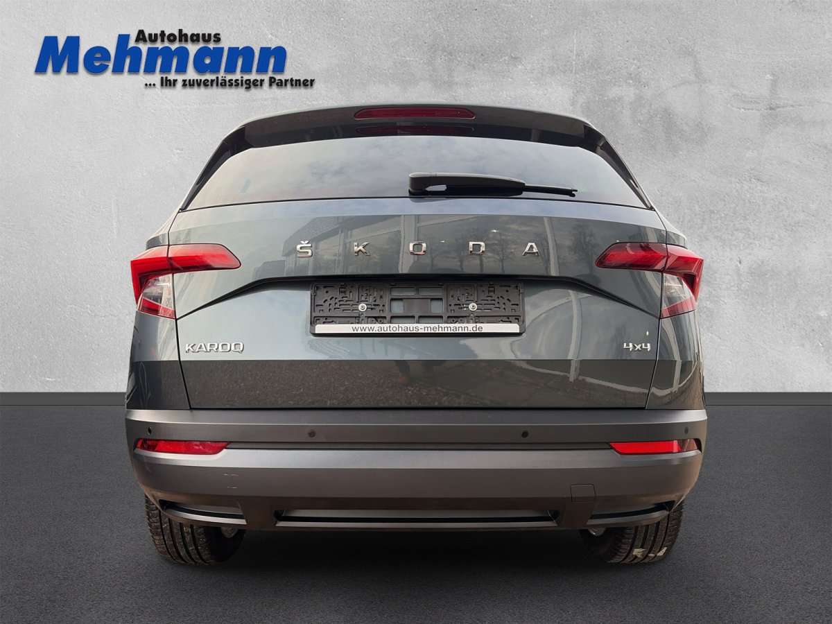 Fahrzeugbild eines Skoda Karoq
