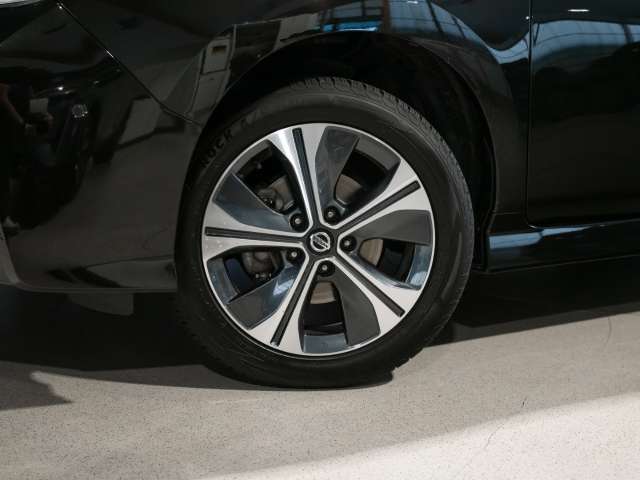 Fahrzeugbild eines Nissan Leaf