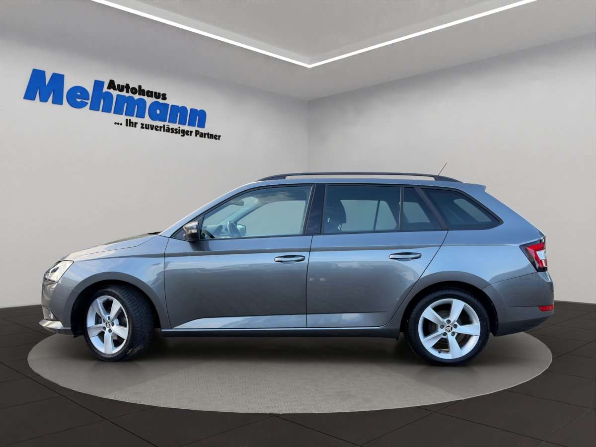 Fahrzeugbild eines Skoda Fabia