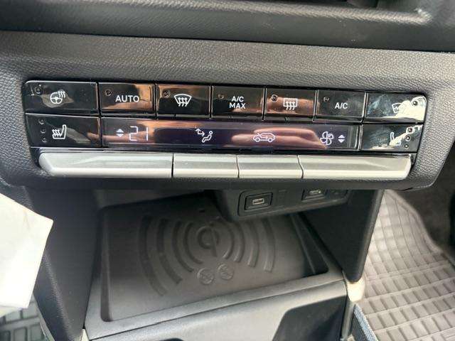 Fahrzeugbild eines Opel Frontera