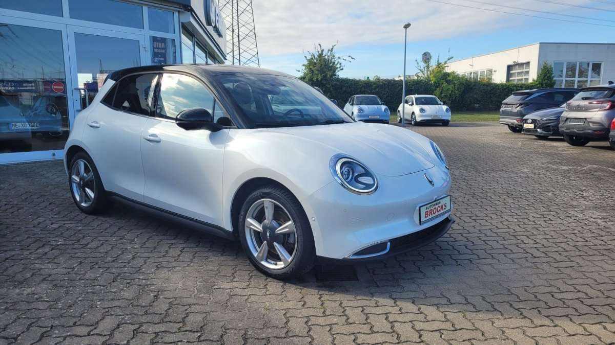 Fahrzeugbild eines GWM Ora 03