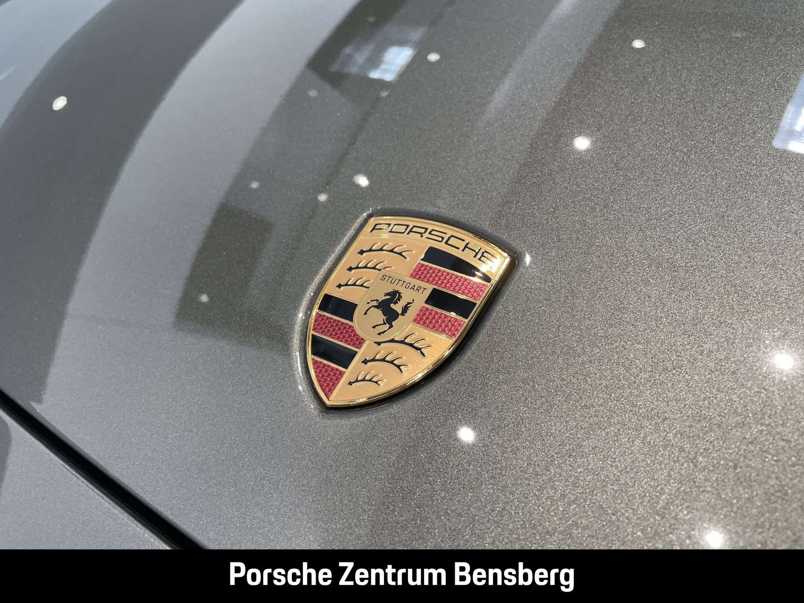 Fahrzeugbild eines Porsche Panamera