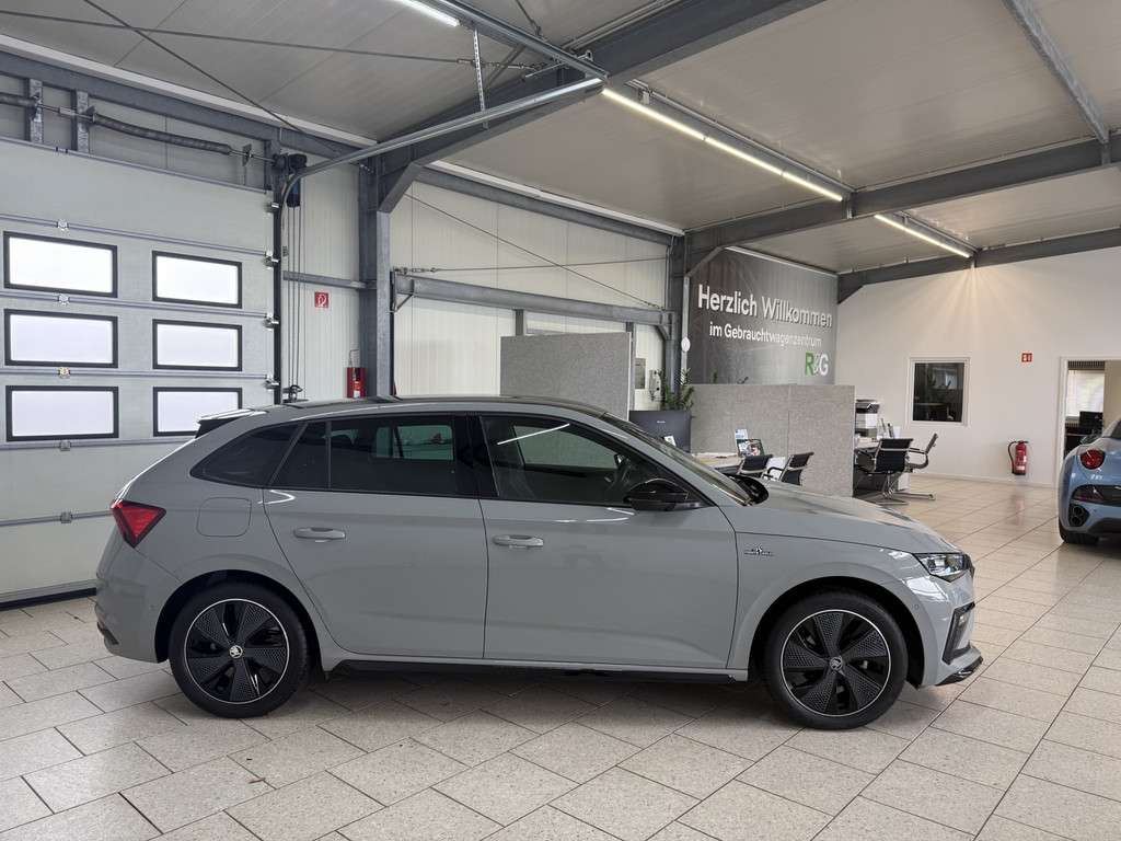 Fahrzeugbild eines Skoda Scala