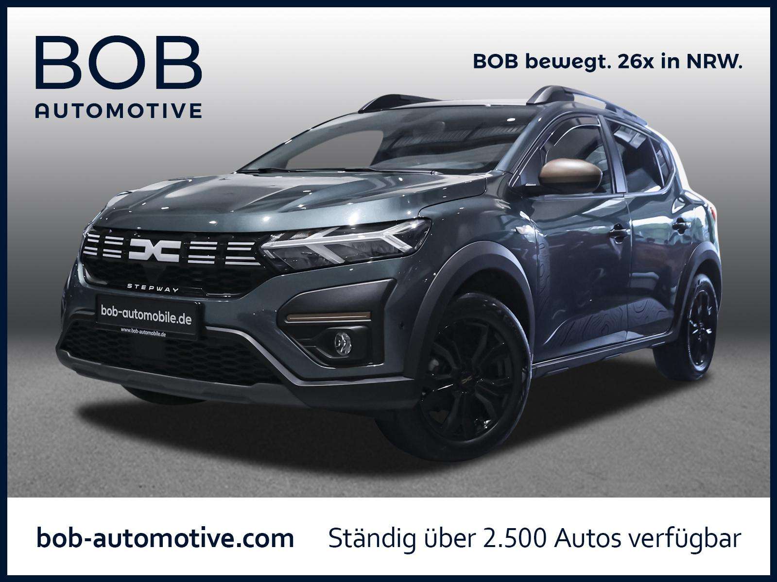 Fahrzeugbild eines Dacia Sandero