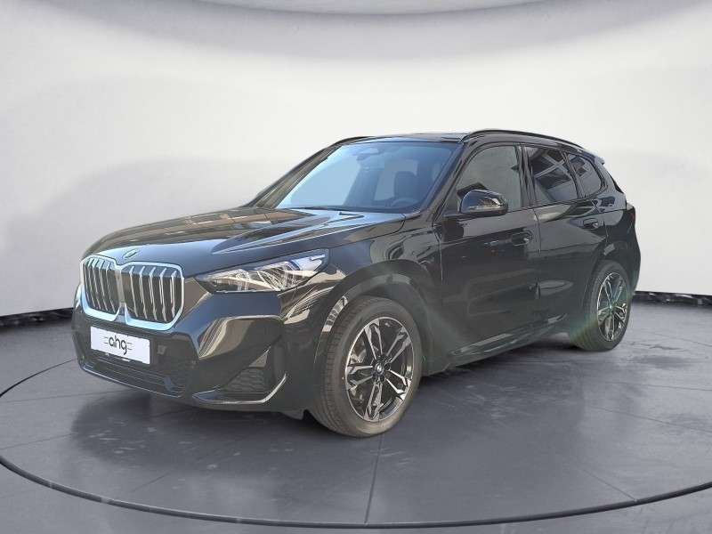 Fahrzeugbild eines BMW X1