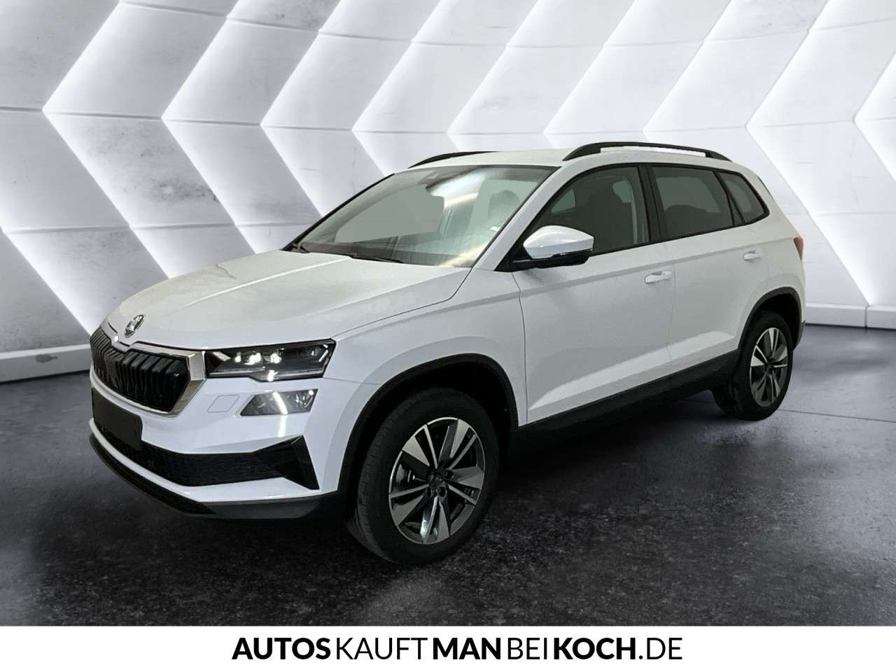 Fahrzeugbild eines Skoda Karoq