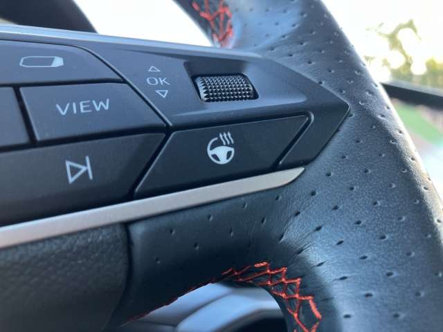 Fahrzeugbild eines SEAT Leon