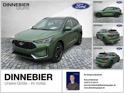 Bild Ford Kuga