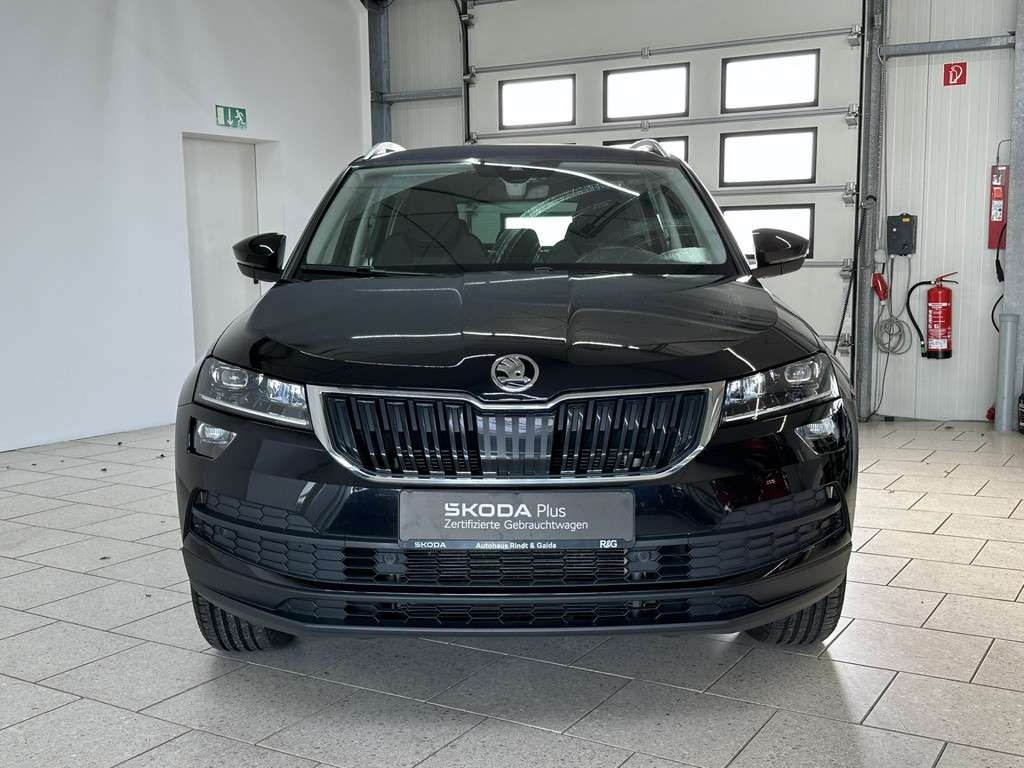 Fahrzeugbild eines Skoda Karoq