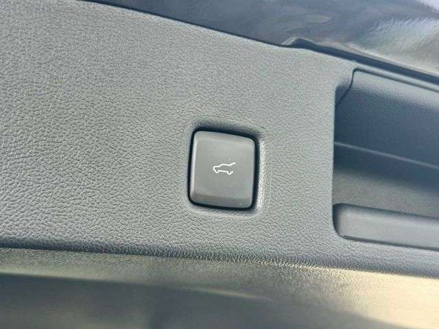 Fahrzeugbild eines Ford Kuga