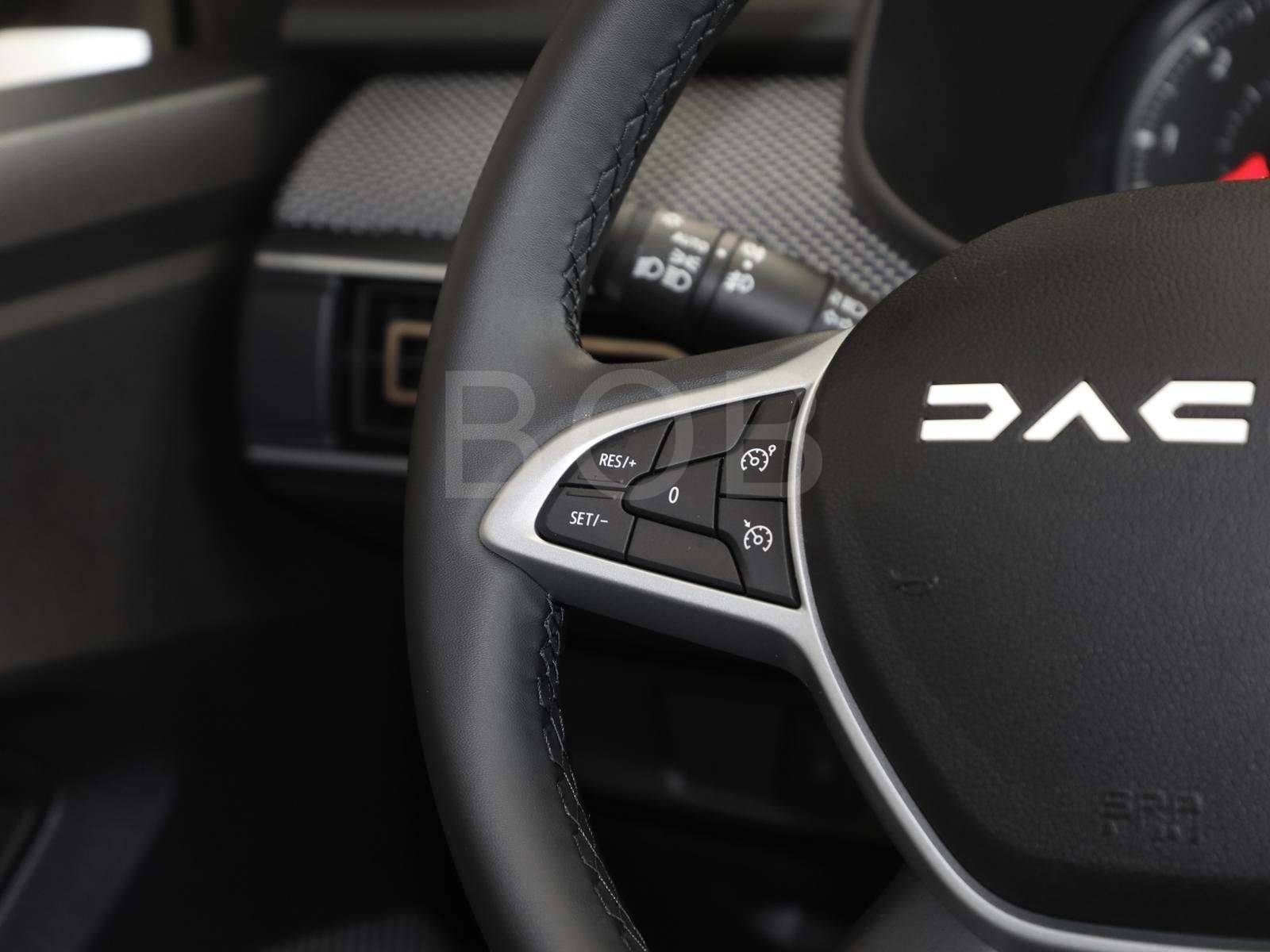 Fahrzeugbild eines Dacia Sandero