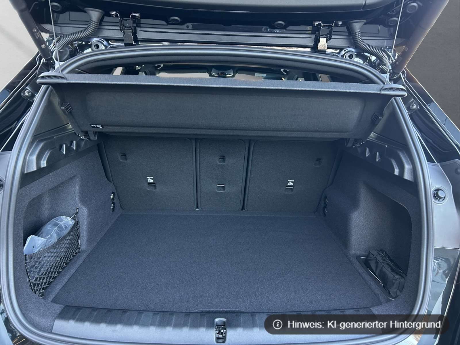 Fahrzeugbild eines BMW X1