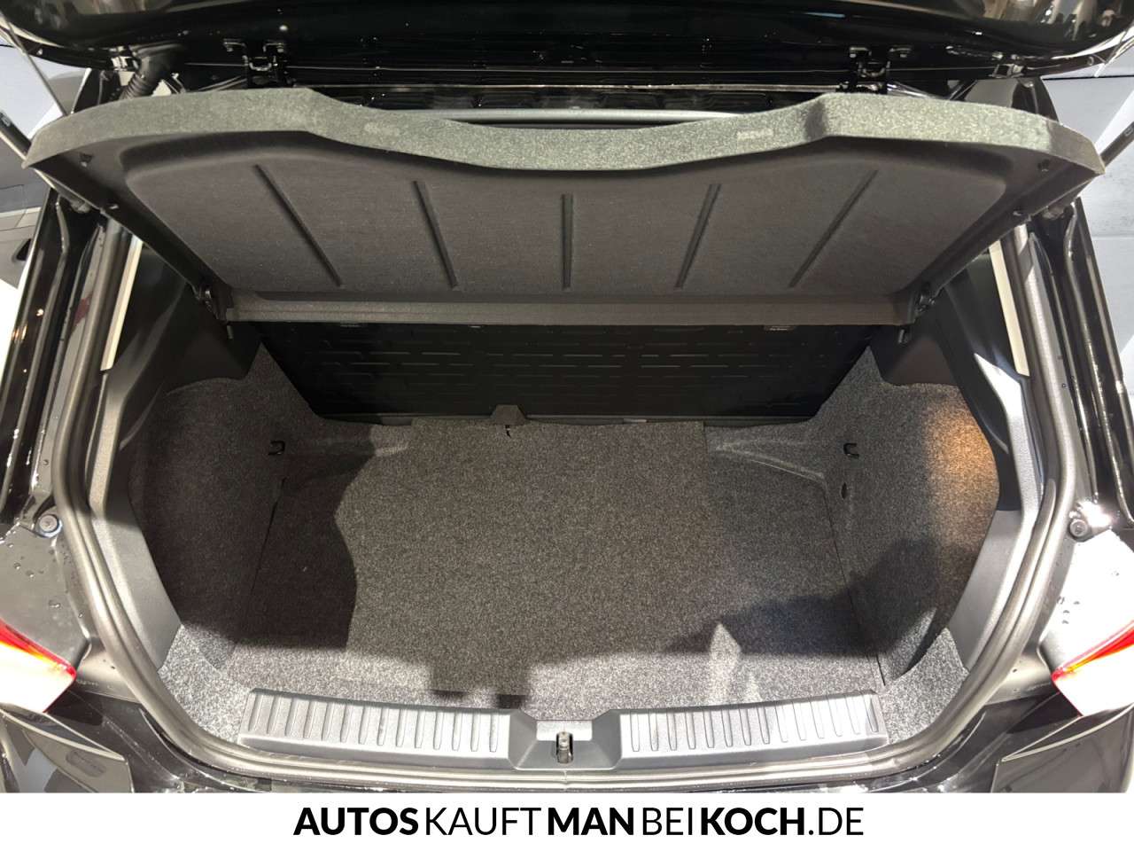 Fahrzeugbild eines SEAT Ibiza