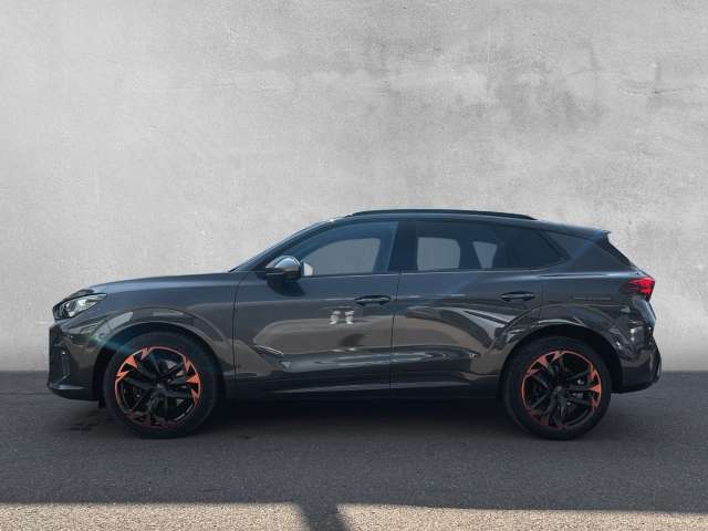 Fahrzeugbild eines CUPRA Terramar