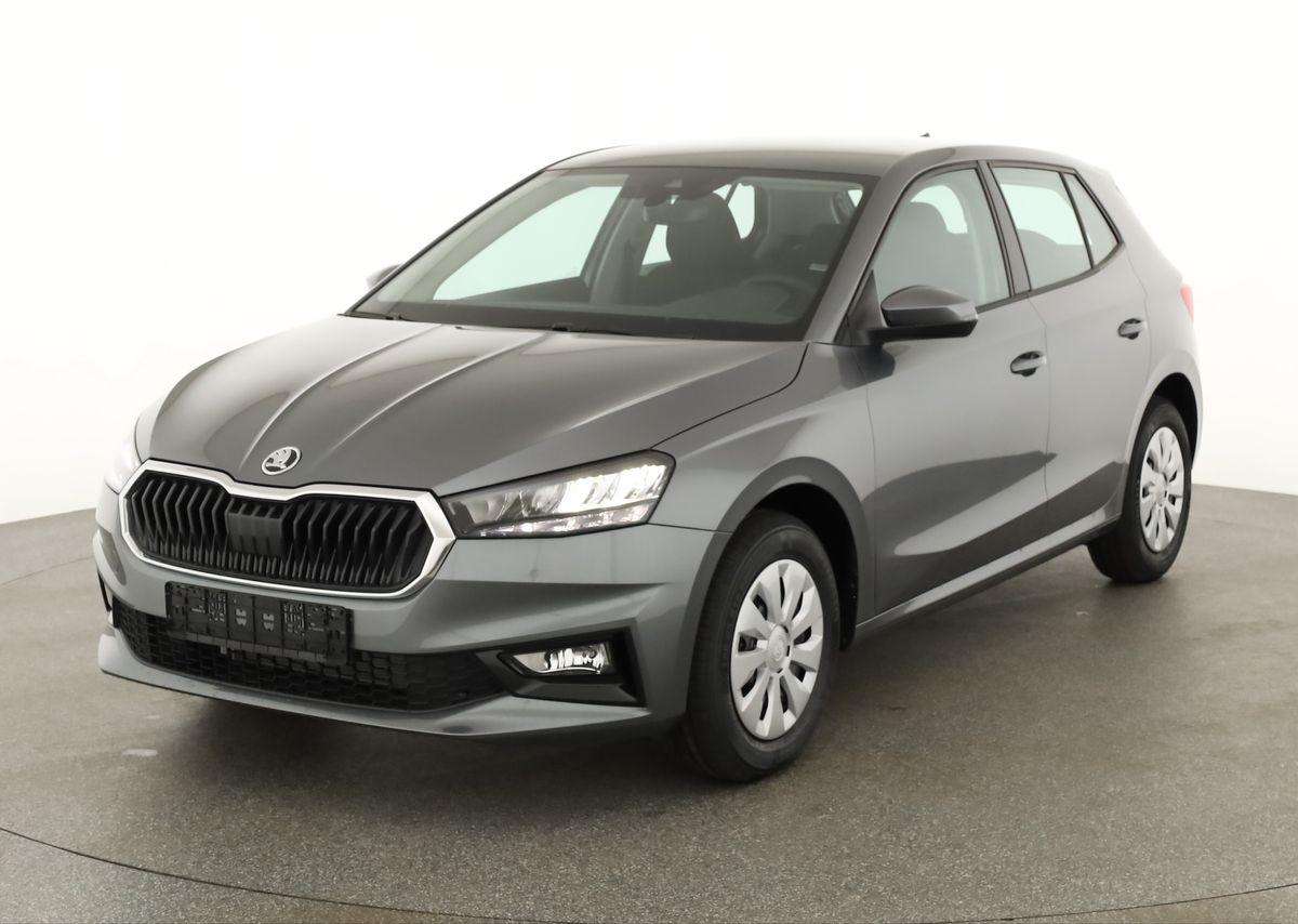 Fahrzeugbild eines Skoda Fabia
