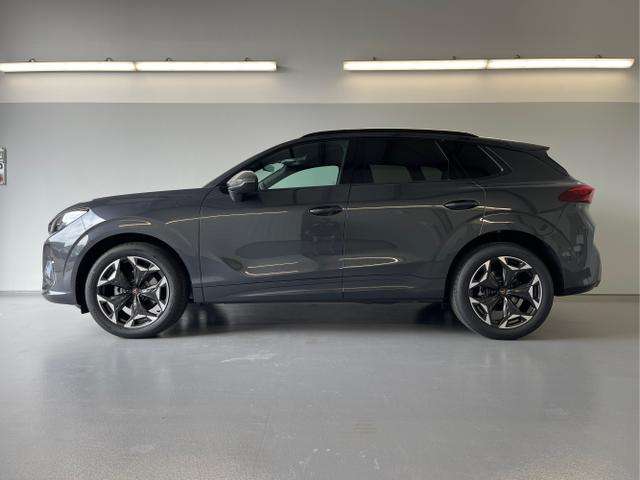 Fahrzeugbild eines CUPRA Terramar