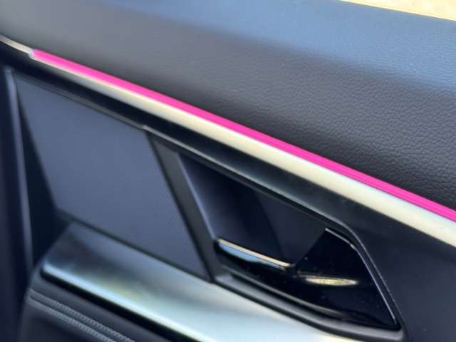 Fahrzeugbild eines Renault Rafale