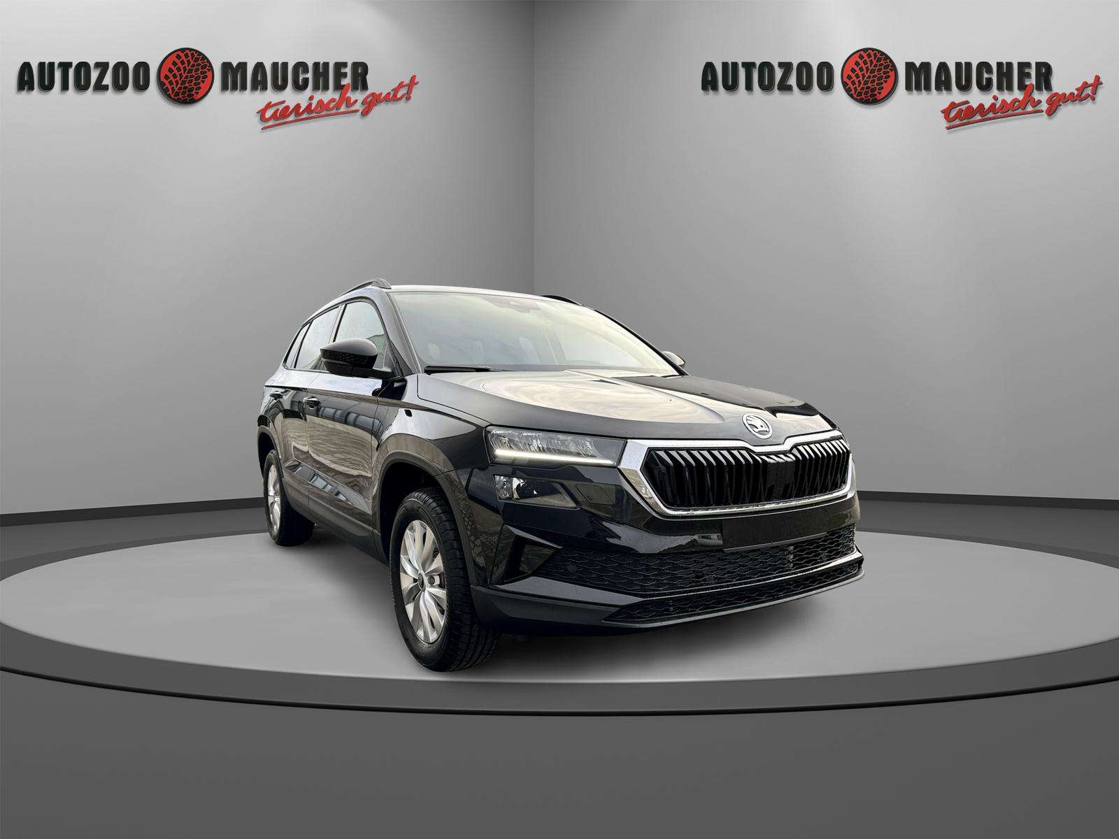 Fahrzeugbild eines Skoda Karoq