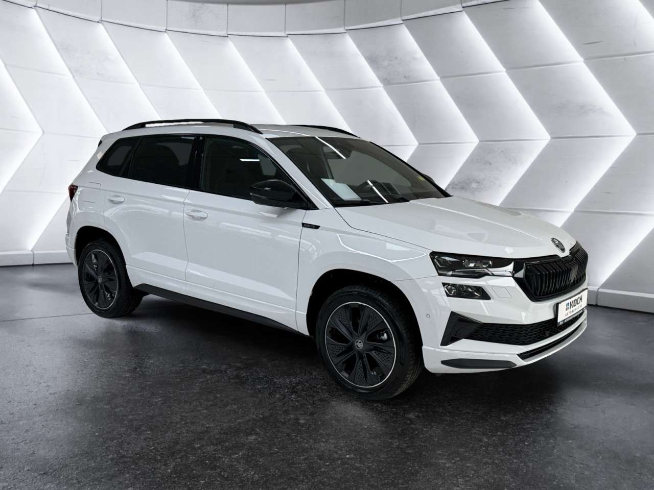 Fahrzeugbild eines Skoda Karoq