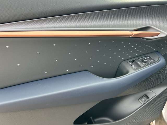 Fahrzeugbild eines CUPRA Tavascan