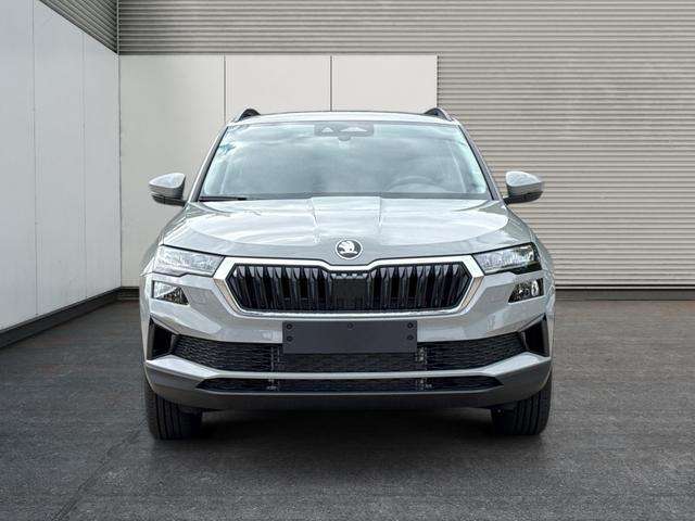 Fahrzeugbild eines Skoda Karoq