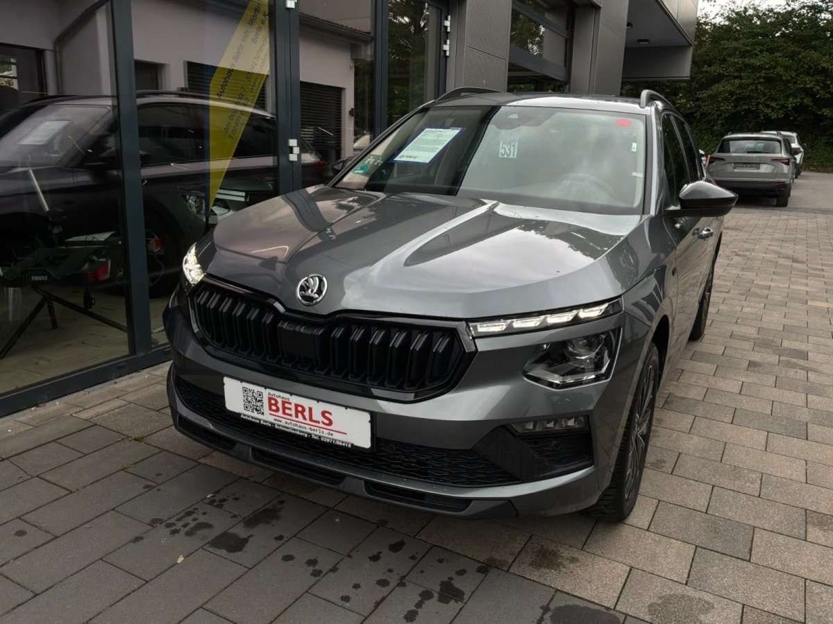 Fahrzeugbild eines Skoda Kamiq