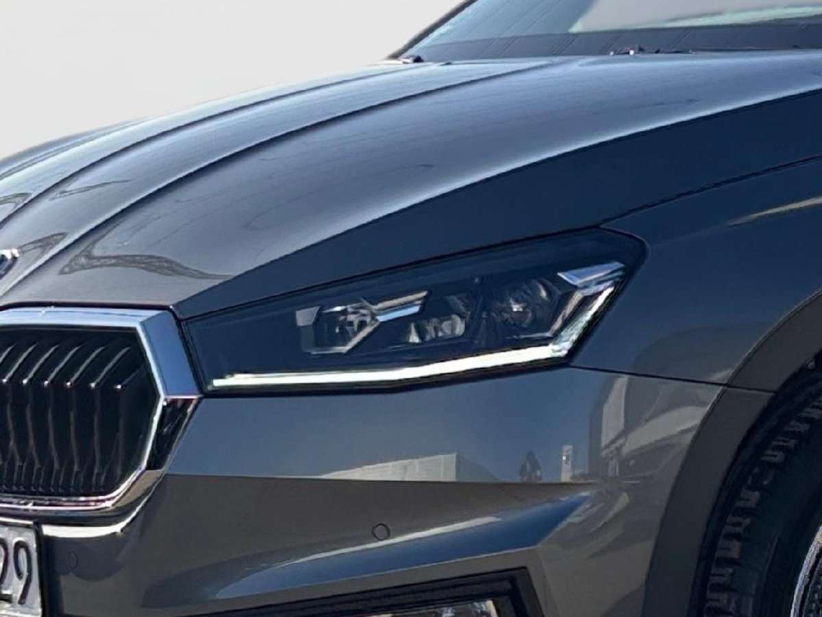 Fahrzeugbild eines Skoda Fabia