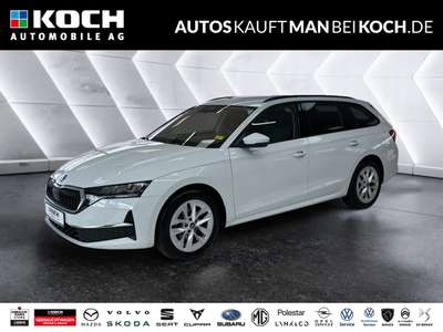 Bild Skoda Octavia