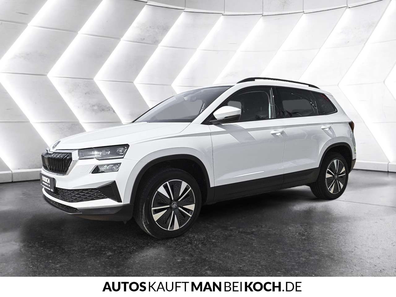 Fahrzeugbild eines Skoda Karoq