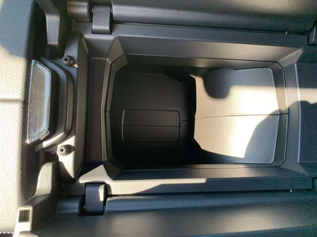 Fahrzeugbild eines Renault Austral