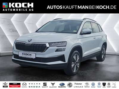 Bild Skoda Karoq