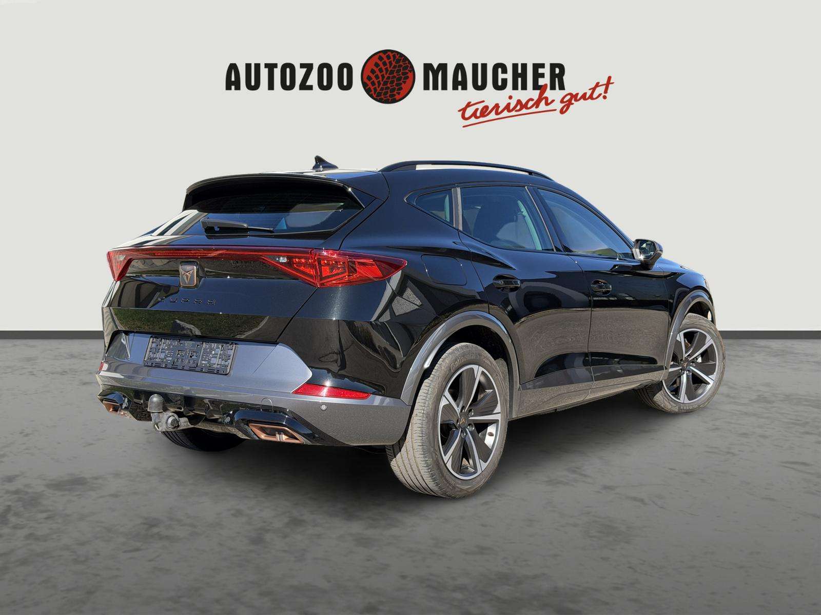 Fahrzeugbild eines CUPRA Formentor