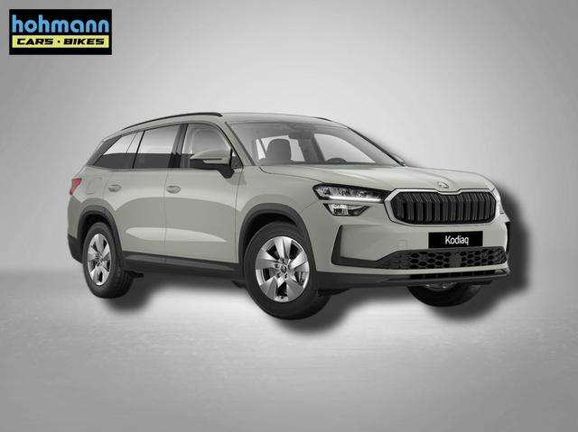 Fahrzeugbild eines Skoda Kodiaq