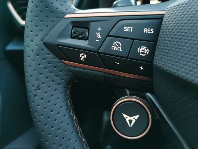 Fahrzeugbild eines CUPRA Formentor