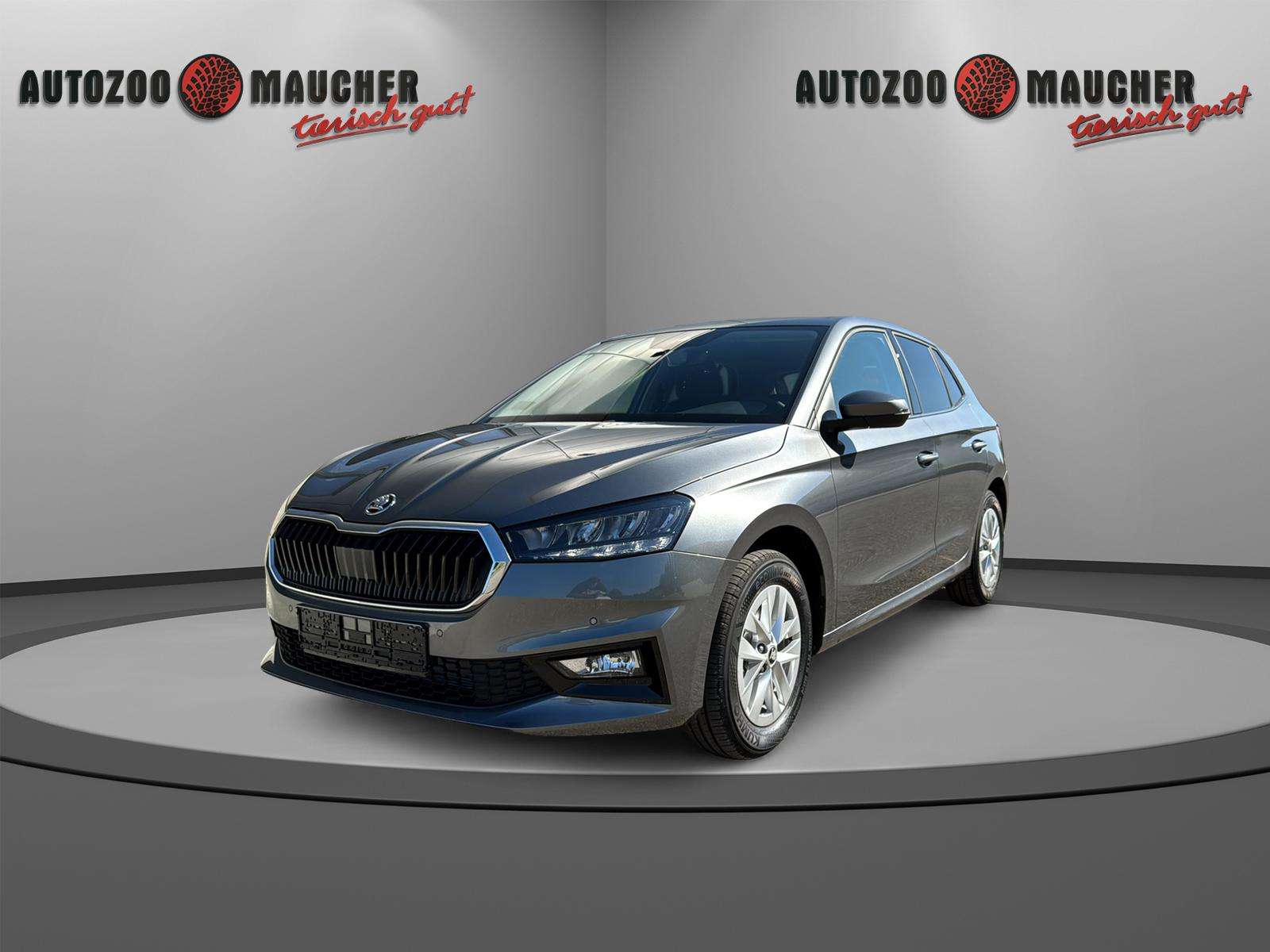 Fahrzeugbild eines Skoda Fabia