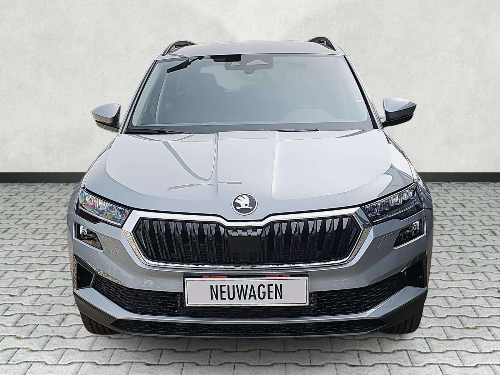 Fahrzeugbild eines Skoda Karoq