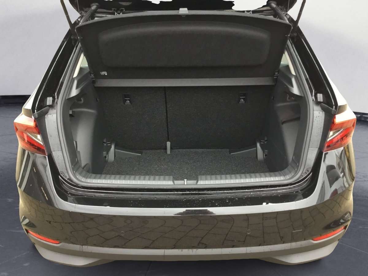Fahrzeugbild eines Skoda Fabia