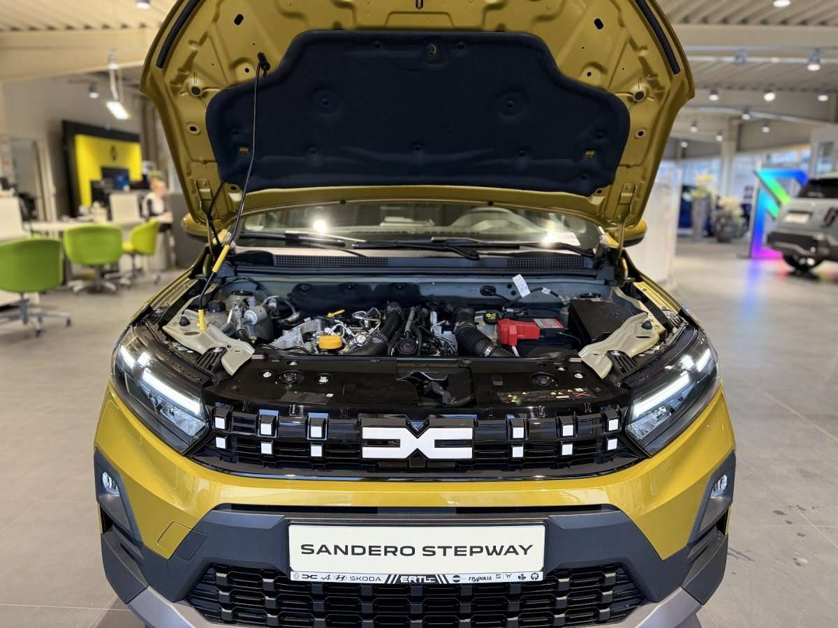 Fahrzeugbild eines Dacia Sandero