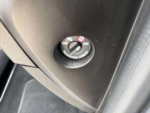 Fahrzeugbild eines Renault ZOE