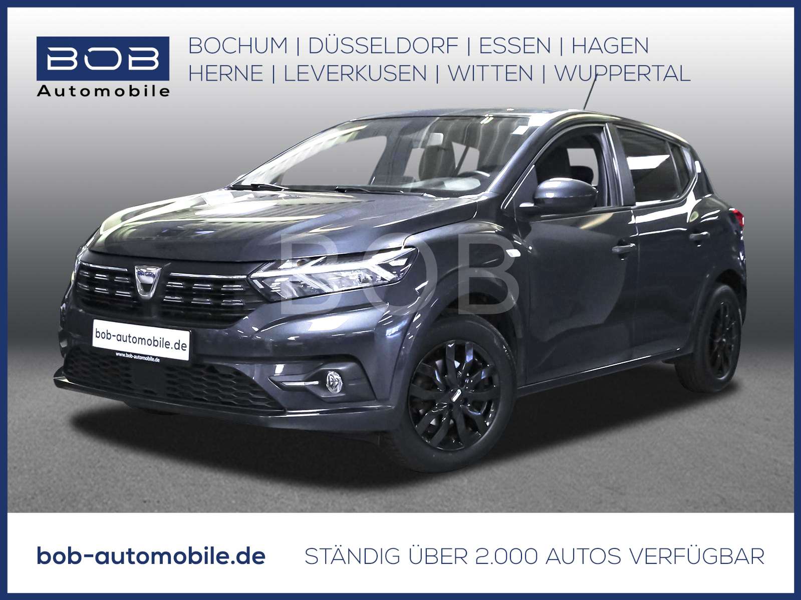 Fahrzeugbild eines Dacia Sandero