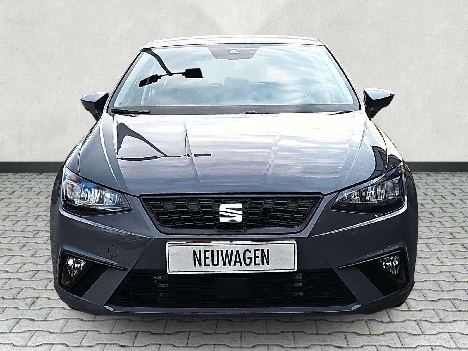 Fahrzeugbild eines SEAT Ibiza
