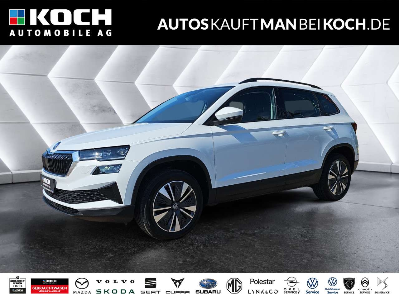 Fahrzeugbild eines Skoda Karoq