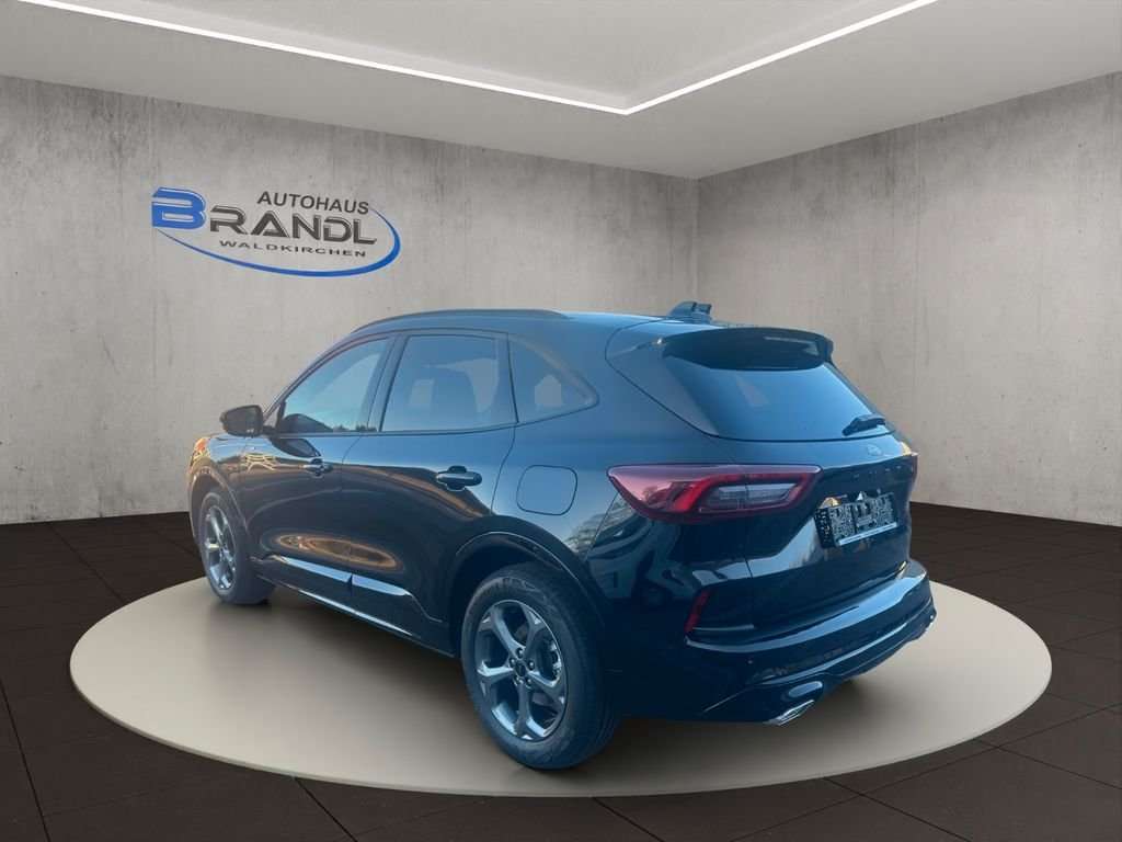 Fahrzeugbild eines Ford Kuga