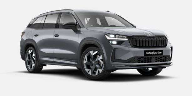 Fahrzeugbild eines Skoda Kodiaq